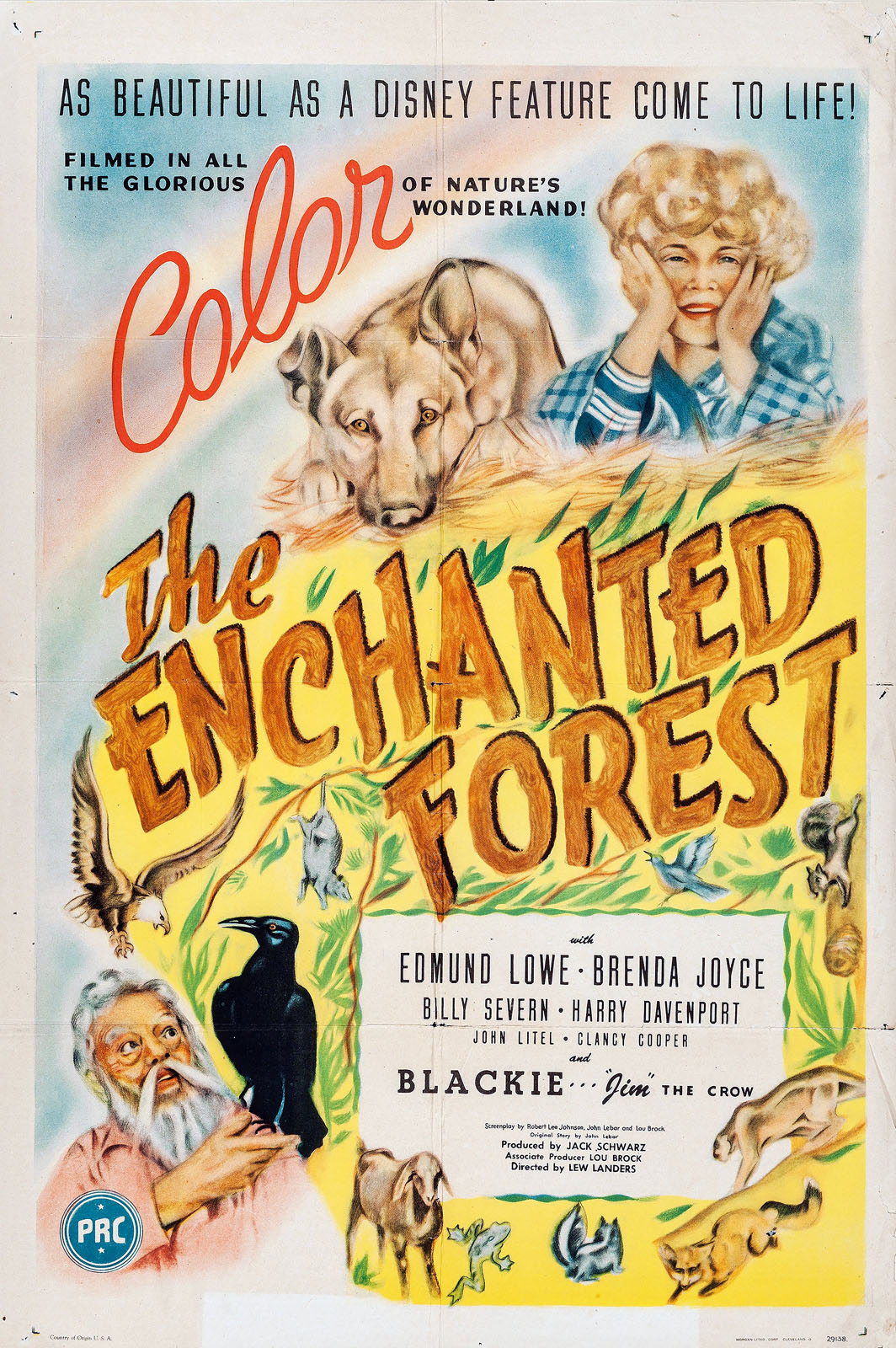 ENCHANTED FOREST, THE